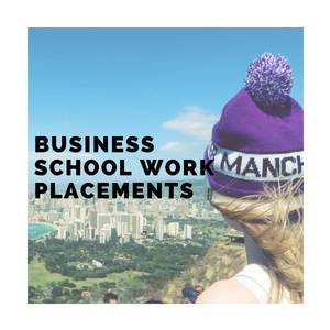 Business School Work Placement